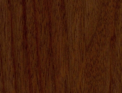Walnut on Walnut
