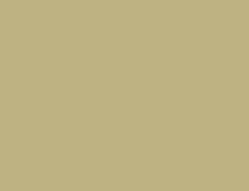 MetallicBeige