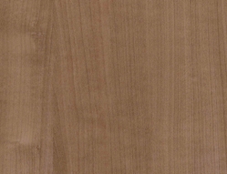 Alder